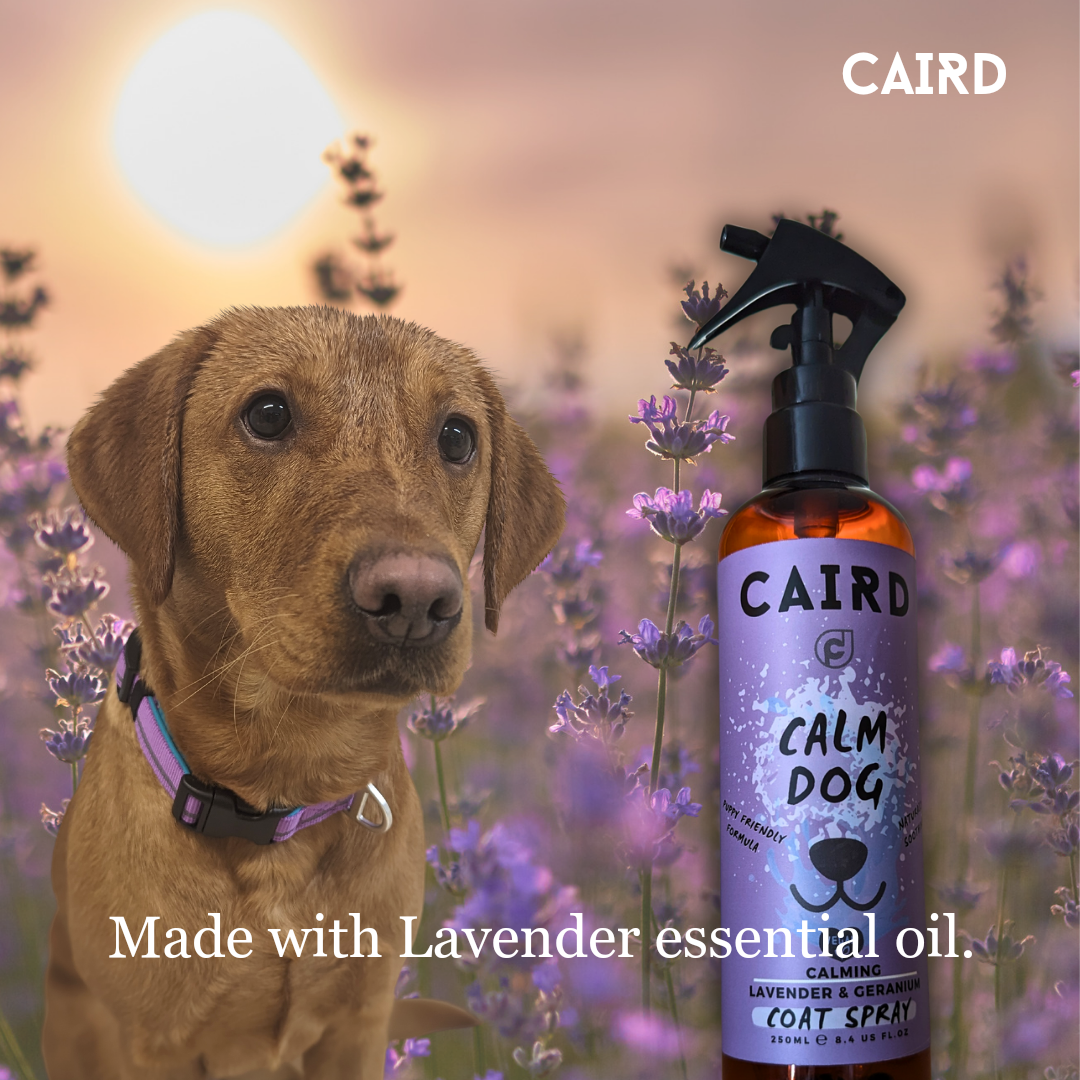 Calm Dog Coat Spray 250ml