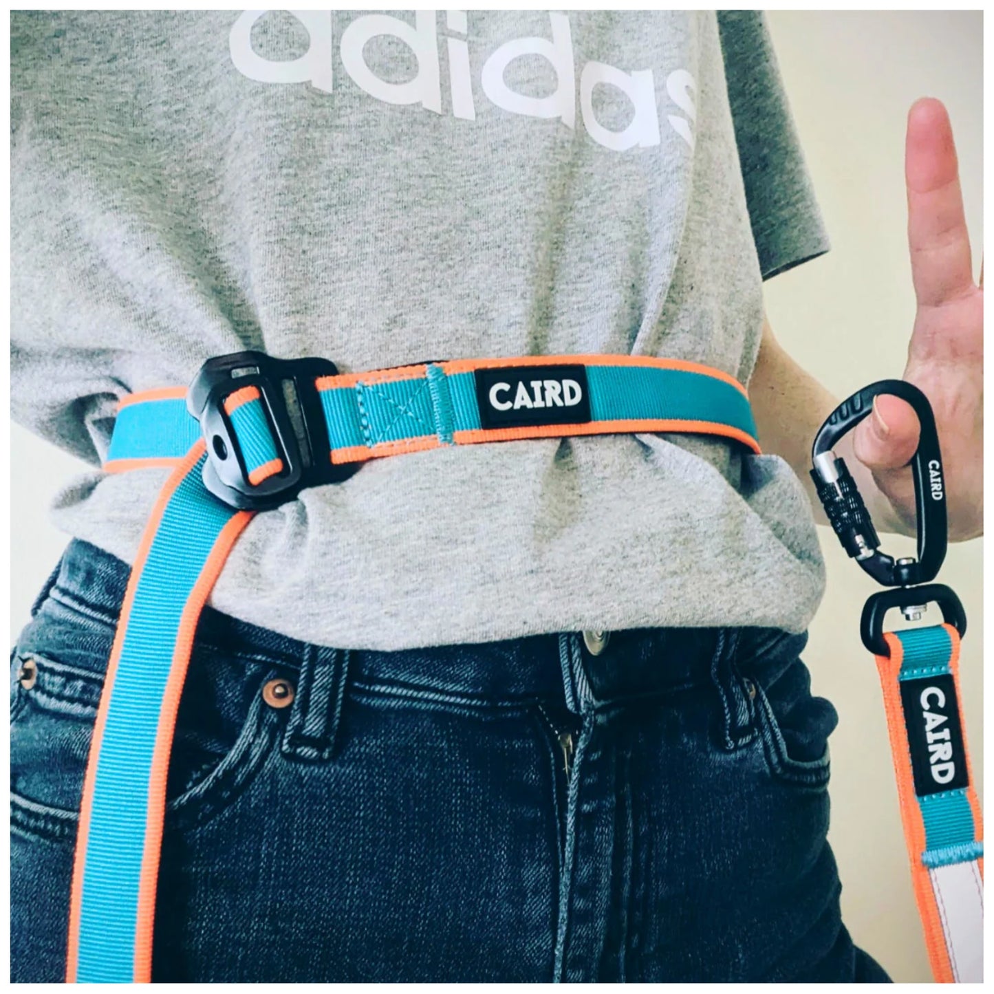 
                  
                    Freedom to Run - Hands Free Bungee Dog Lead
                  
                