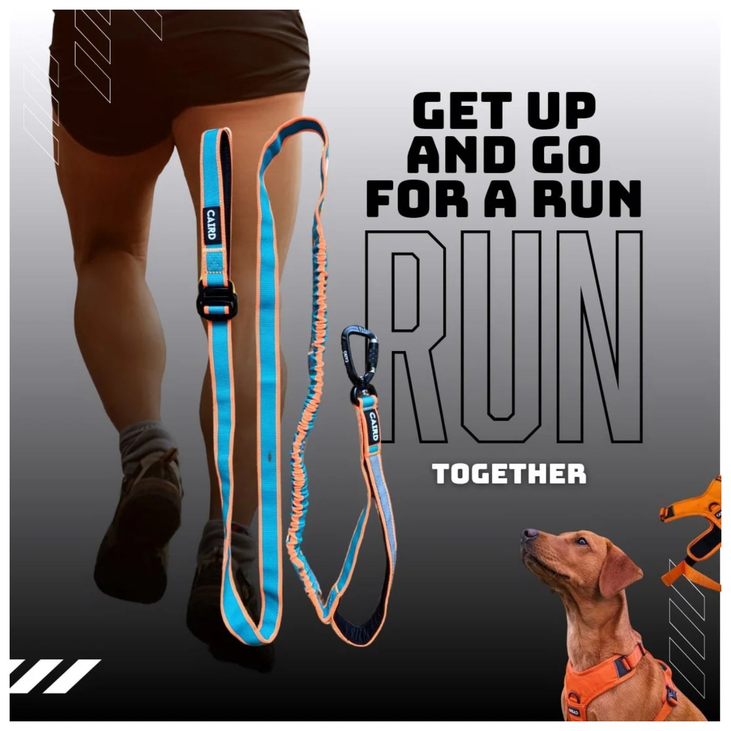 
                  
                    Freedom to Run - Hands Free Bungee Dog Lead
                  
                