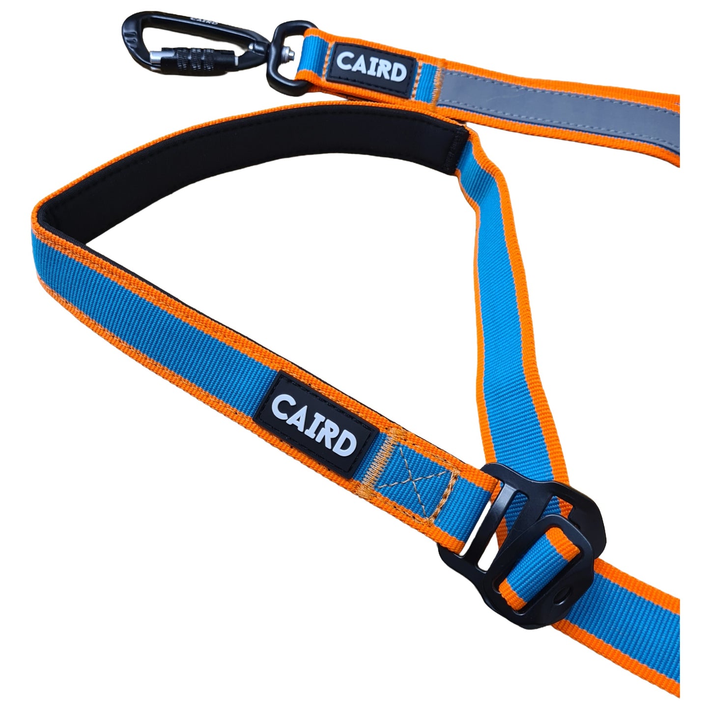 
                  
                    Freedom to Run - Hands Free Bungee Dog Lead
                  
                