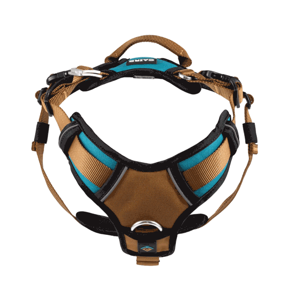 
                  
                    5-Point - Elevate Harness
                  
                