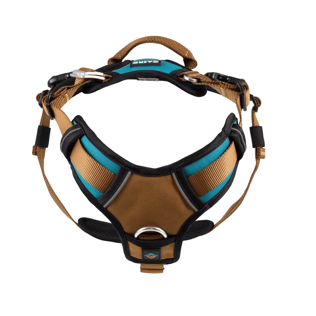 5-Point - Elevate Harness
