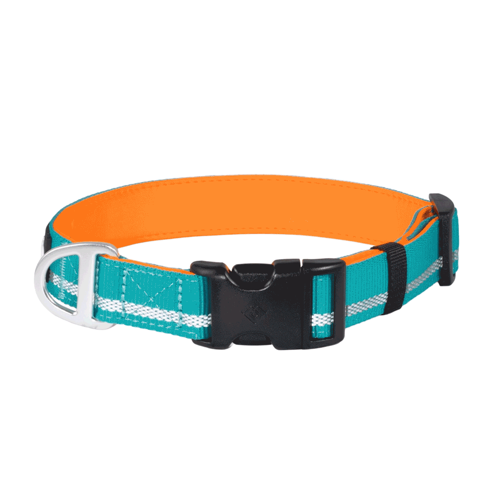 Journey Light Collar Aqua & Orange (Reflective)