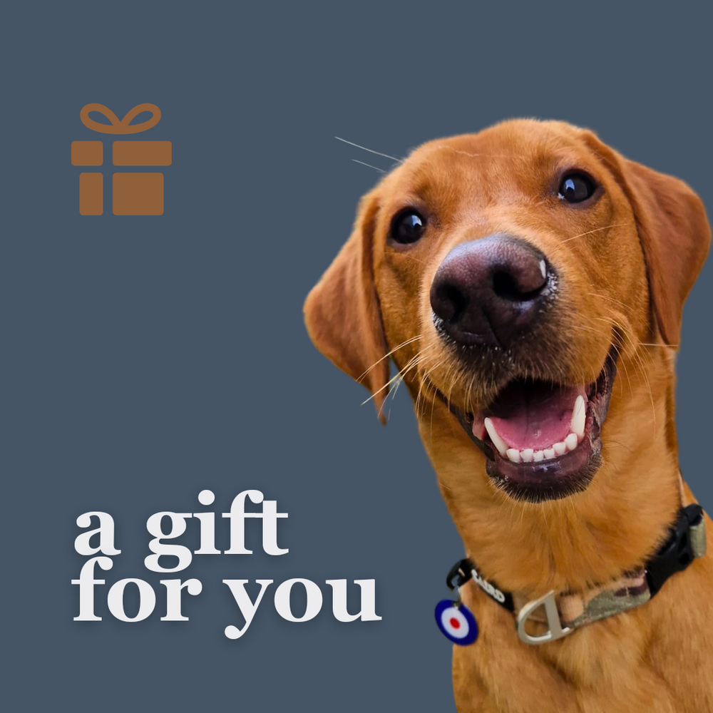 CAIRD Gift Card