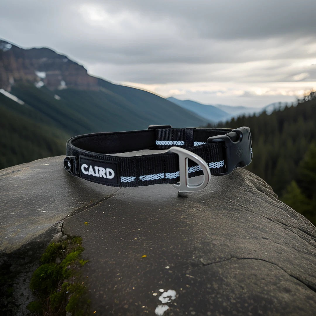 
                  
                    Journey Light Collar - Black (Reflective)
                  
                