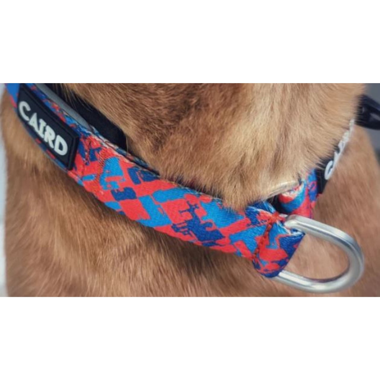 
                  
                    Reflective Padded Slip Dog Collar
                  
                