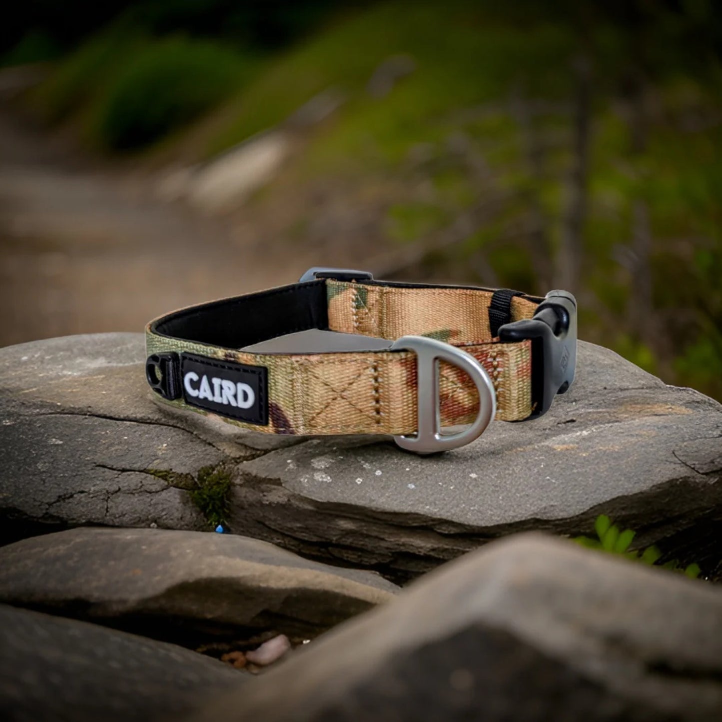 
                  
                    Journey Light Collar - Camo (Non Reflective)
                  
                