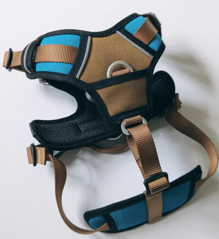
                  
                    5-Point - Elevate Harness
                  
                