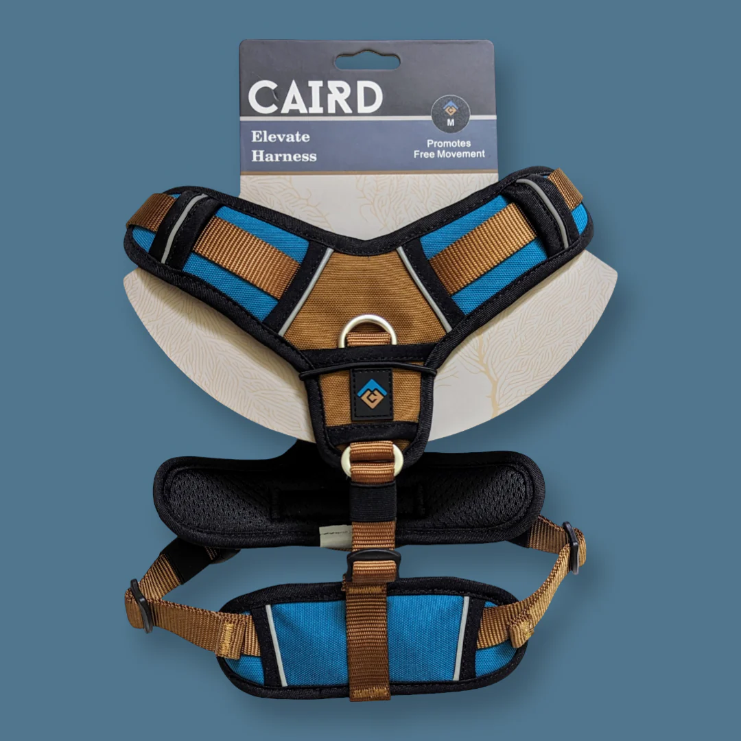 
                  
                    5-Point - Elevate Harness
                  
                