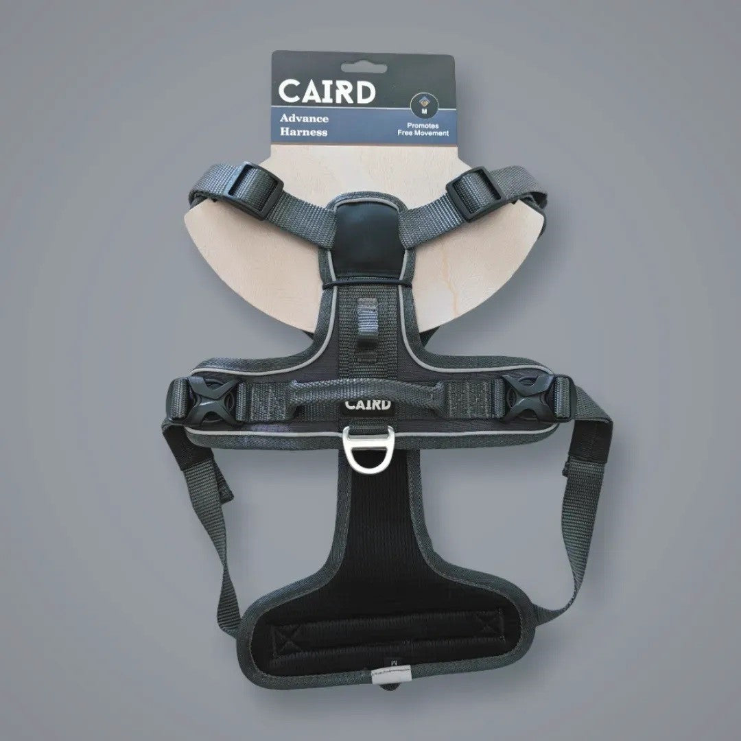 
                  
                    Charcoal - Advance Dog Harness
                  
                