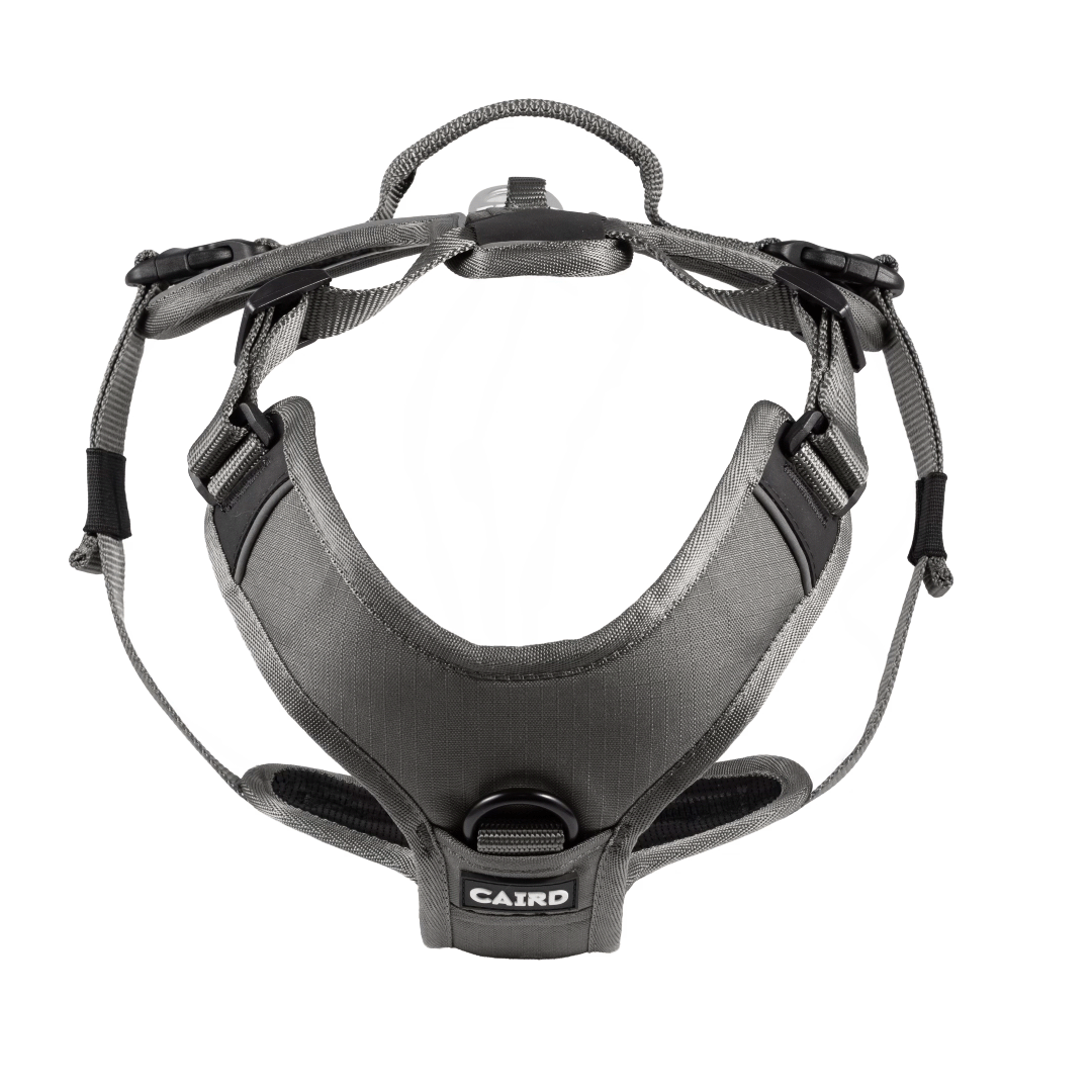 Charcoal - Advance Dog Harness