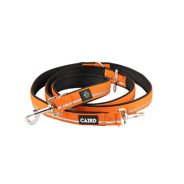 
                  
                    Reflective Double Ended Training Lead 2 Meters
                  
                