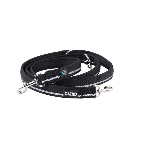 
                  
                    Reflective Double Ended Training Lead 2 Meters
                  
                