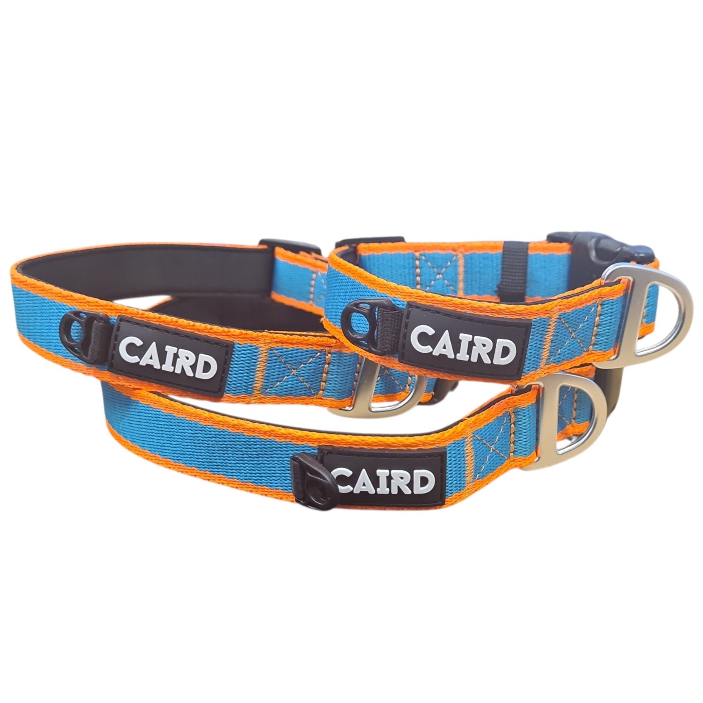 
                  
                    Journey Light Collar Aqua & Orange (Non Reflective)
                  
                