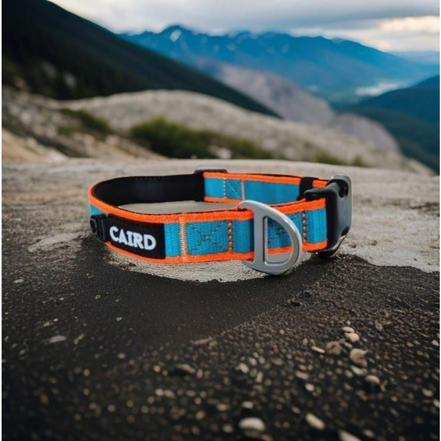 
                  
                    Journey Light Collar Aqua & Orange (Non Reflective)
                  
                