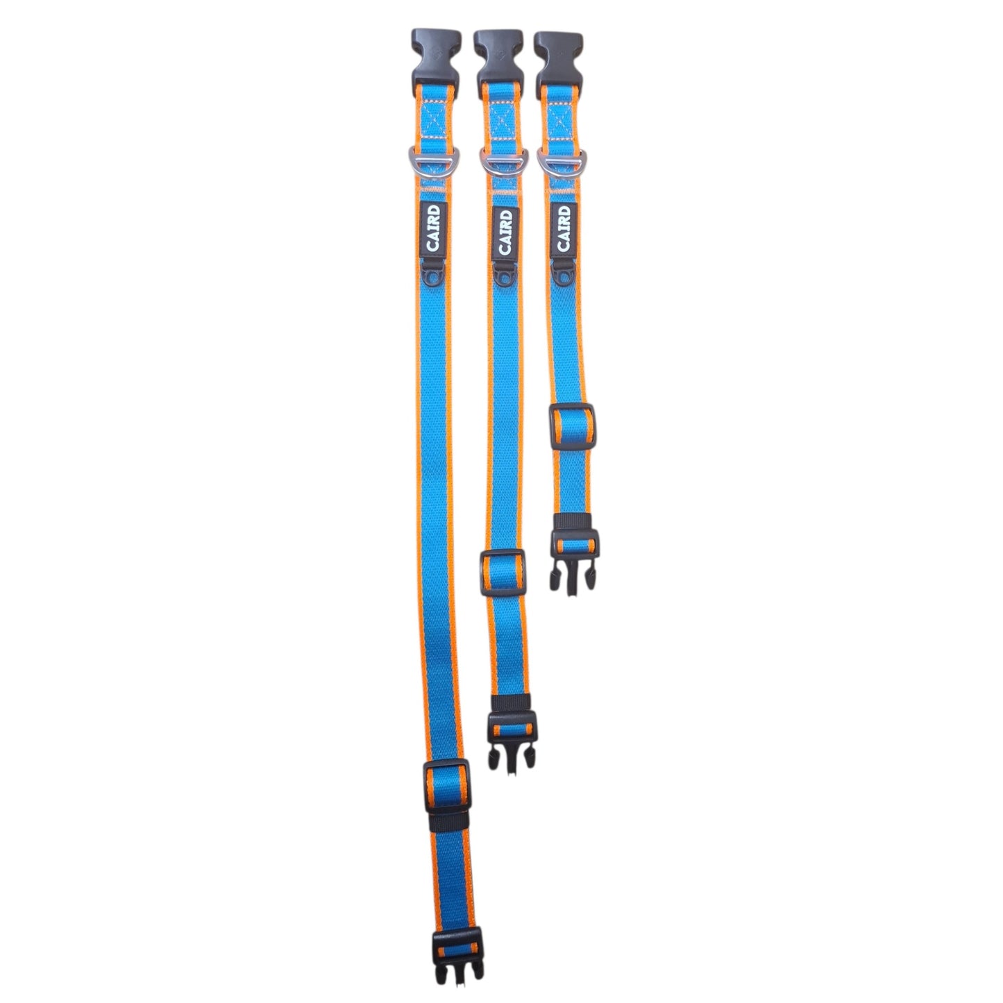 
                  
                    Journey Light Collar Aqua & Orange (Non Reflective)
                  
                