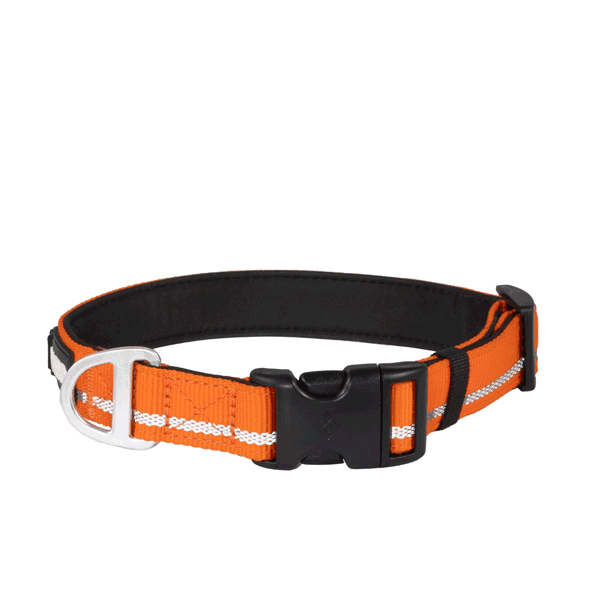 
                  
                    Journey Light Collar - Orange (Reflective)
                  
                
