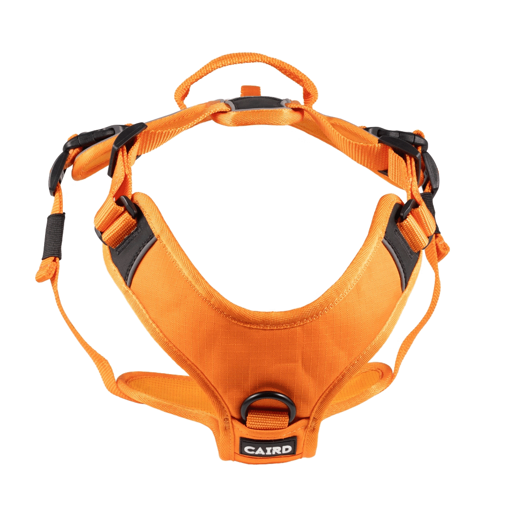 Orange - Advance Harness
