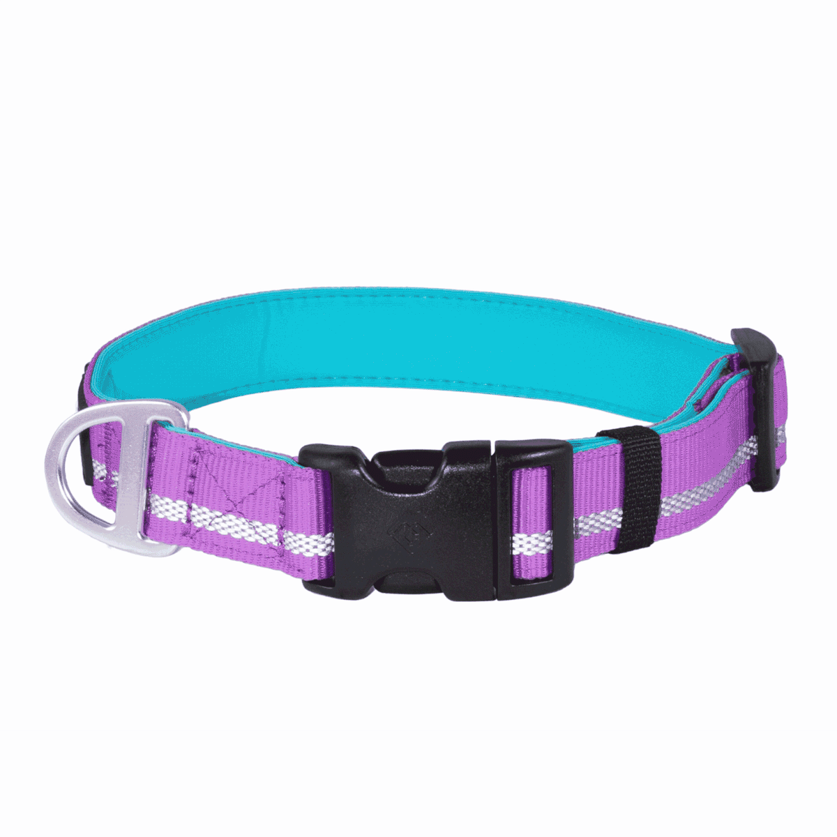 Journey Light Collar - Purple (Reflective)
