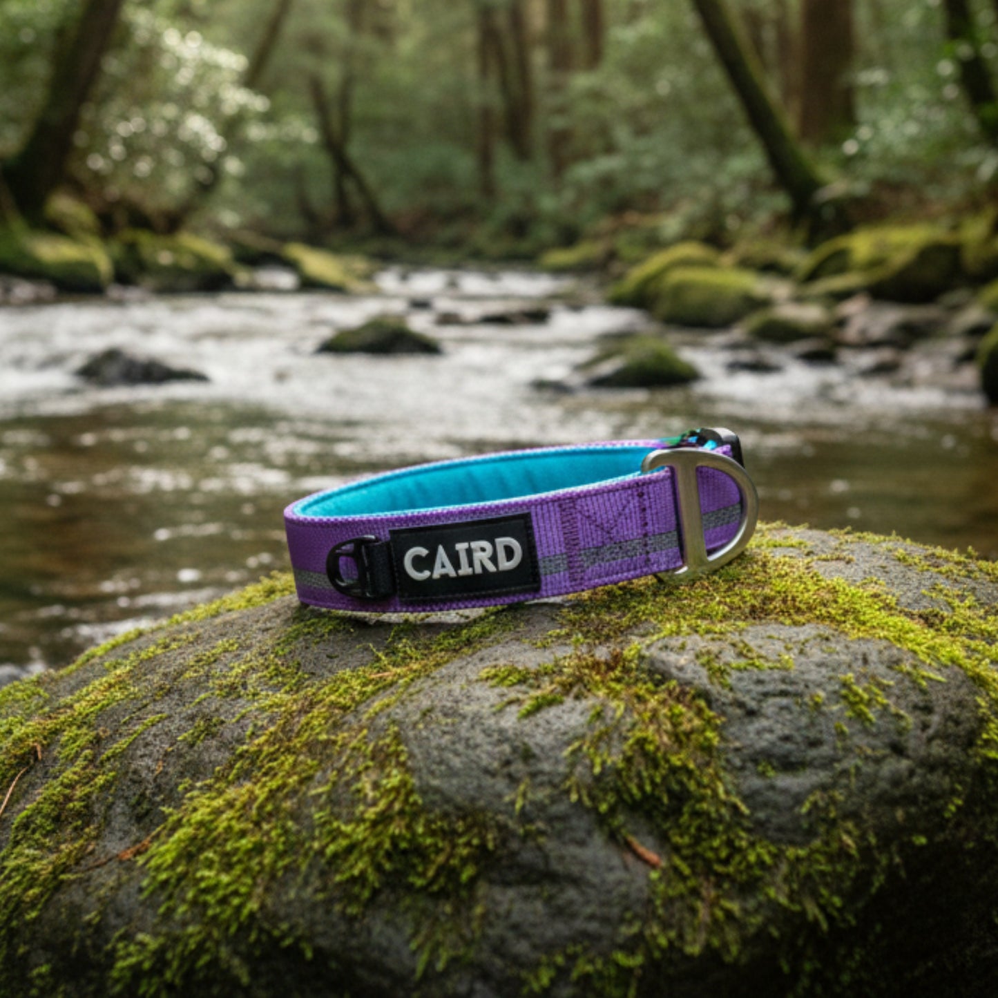 
                  
                    Journey Light Collar - Purple (Reflective)
                  
                