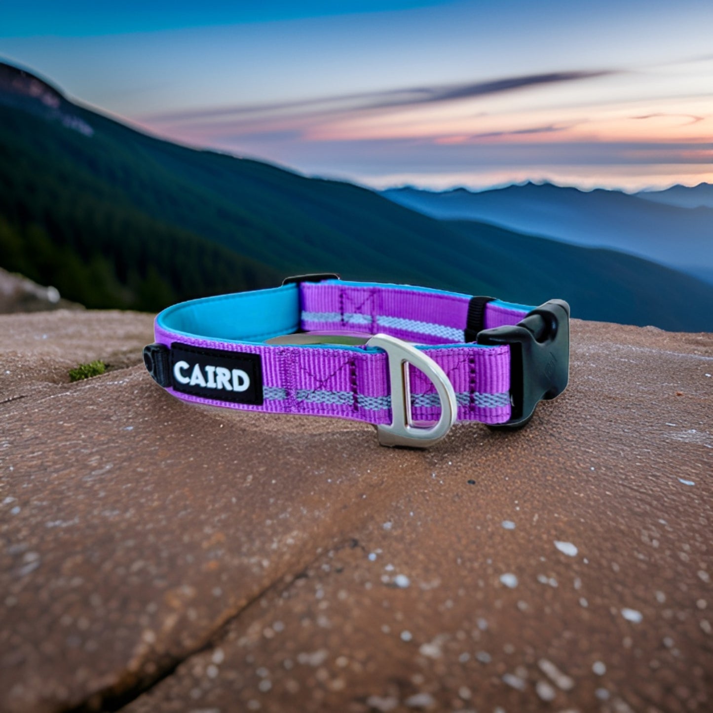 
                  
                    Journey Light Collar - Purple (Reflective)
                  
                