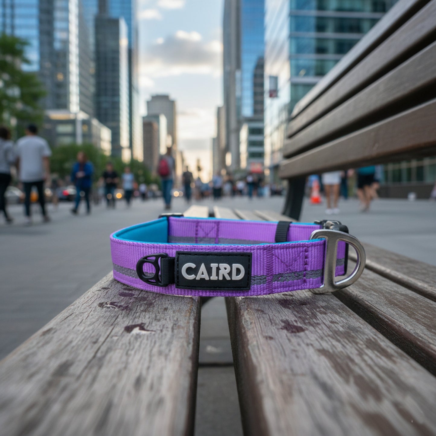 
                  
                    Journey Light Collar - Purple (Reflective)
                  
                