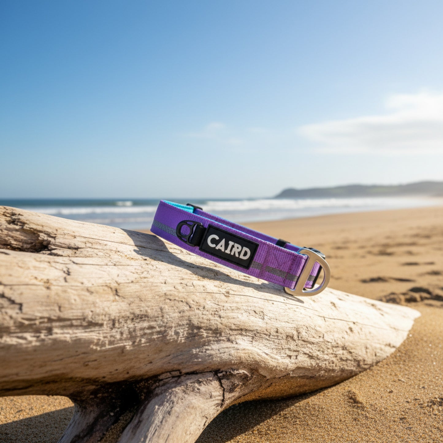 
                  
                    Journey Light Collar - Purple (Reflective)
                  
                
