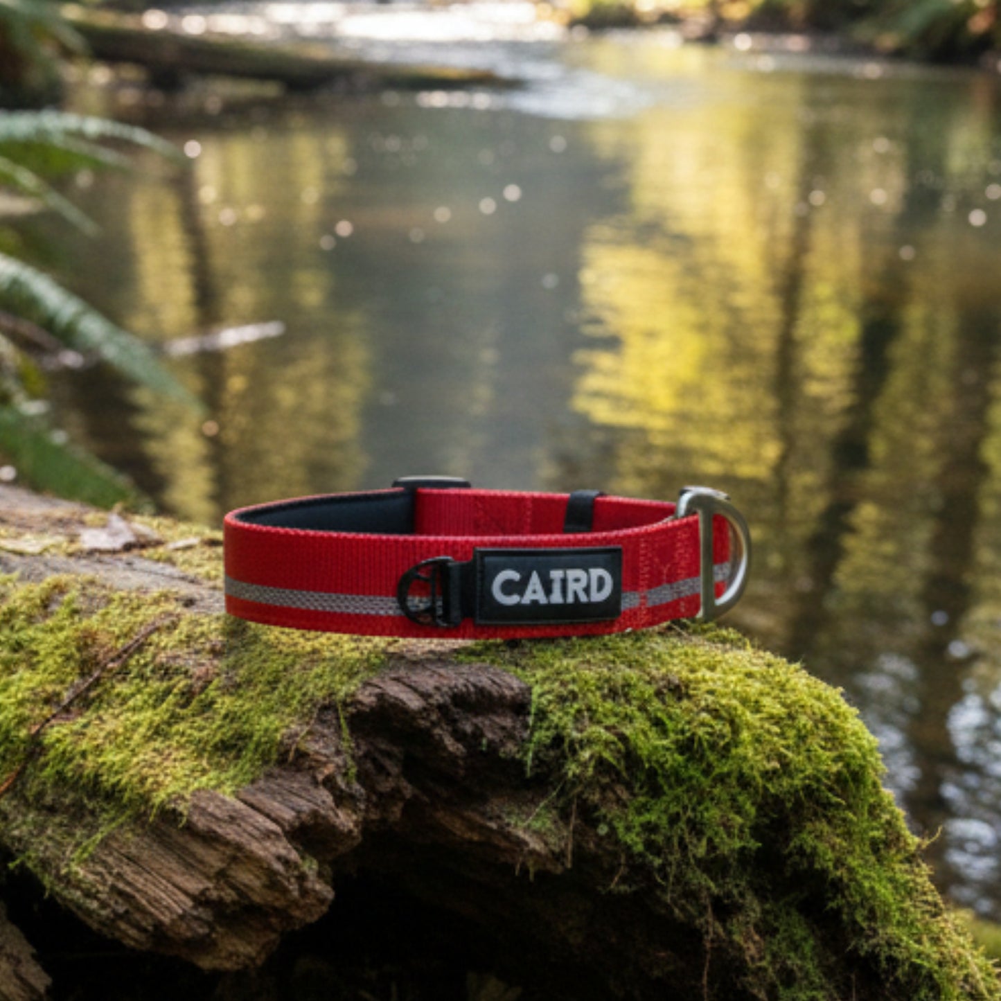
                  
                    Journey Light Collar - Red (Reflective)
                  
                