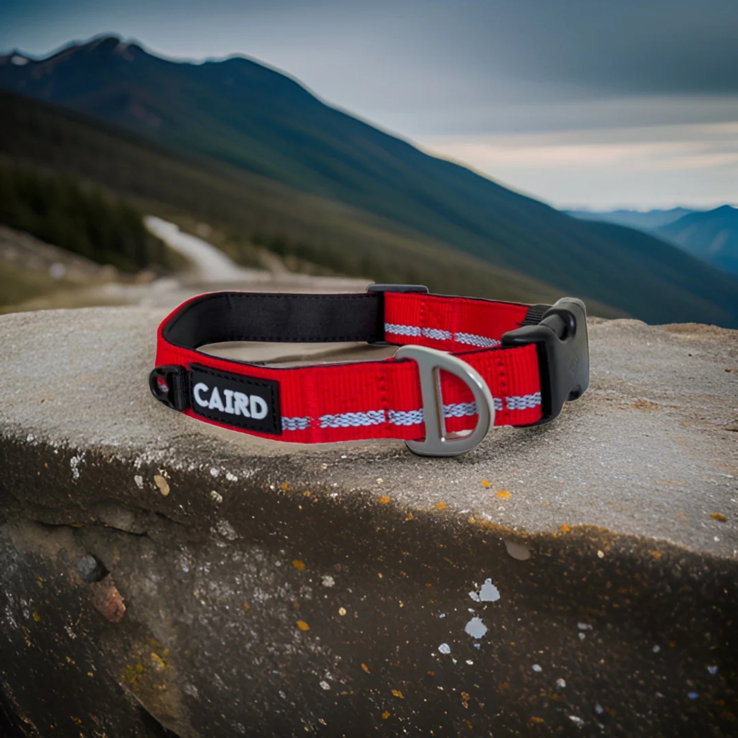 
                  
                    Journey Light Collar - Red (Reflective)
                  
                