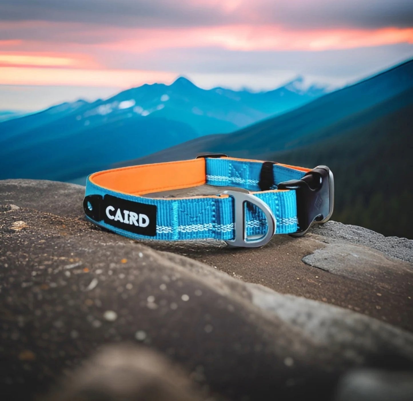 
                  
                    Journey Light Collar Aqua & Orange (Reflective)
                  
                