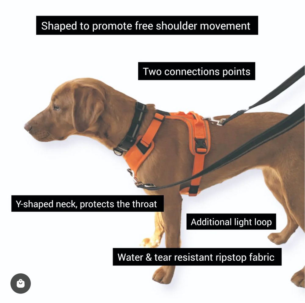 Advance Harness Orange CAIRD