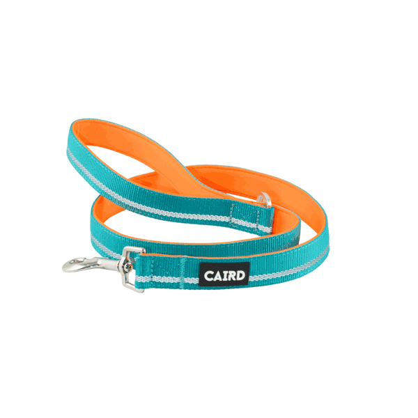 
                  
                    Journey Light Reflective Dog Lead
                  
                