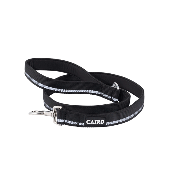 
                  
                    Journey Light Reflective Dog Lead
                  
                