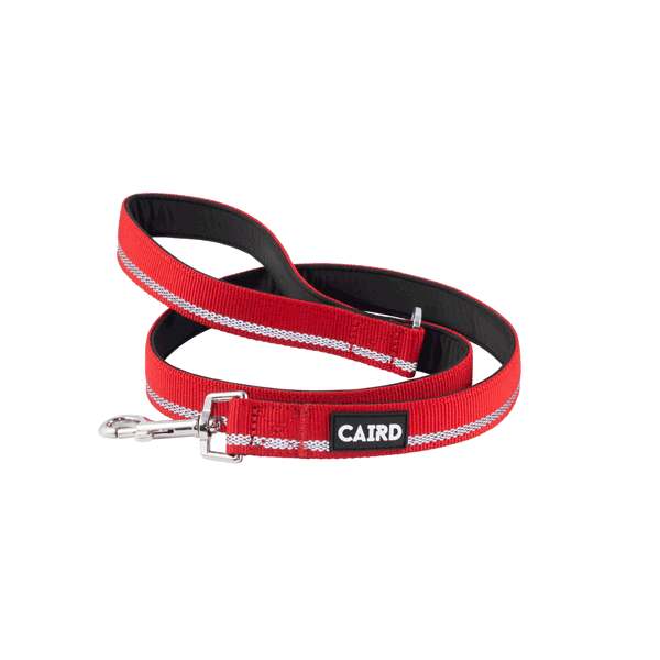 
                  
                    Journey Light Reflective Dog Lead
                  
                