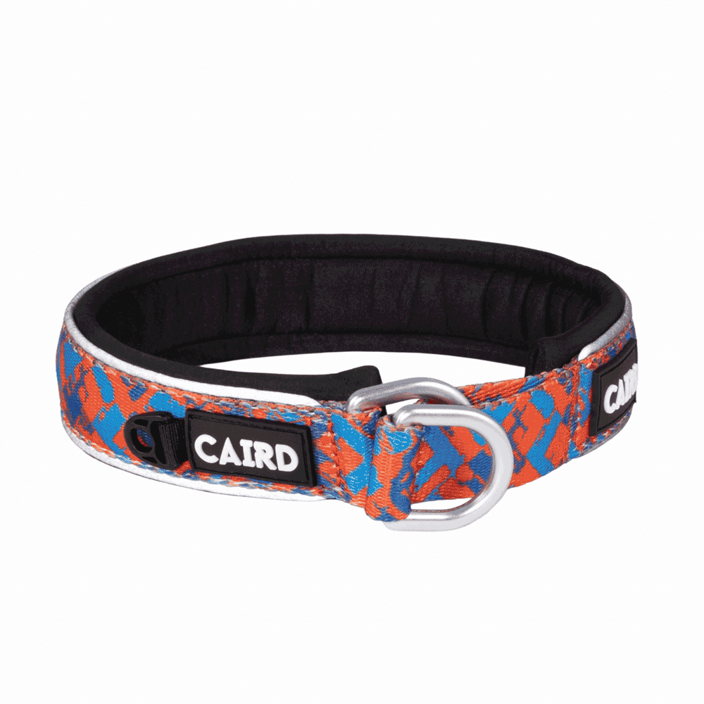 Reflective Padded Slip Dog Collar