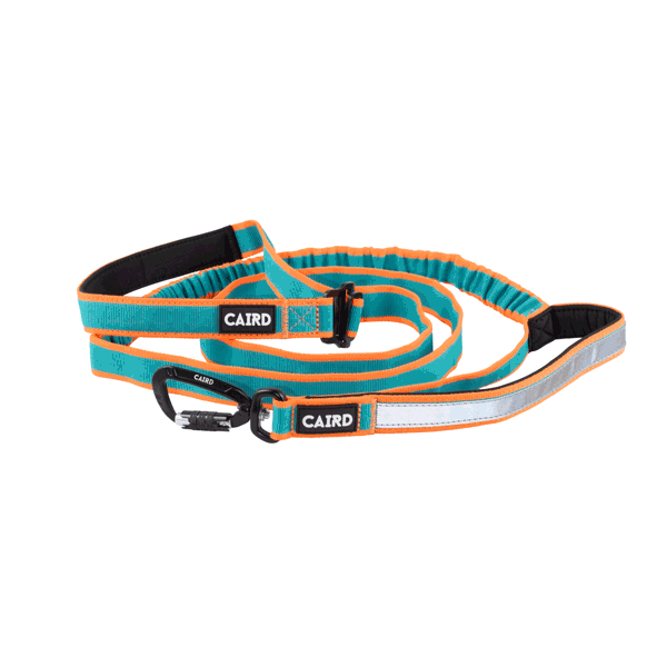 
                  
                    Freedom to Run - Hands Free Bungee Dog Lead
                  
                
