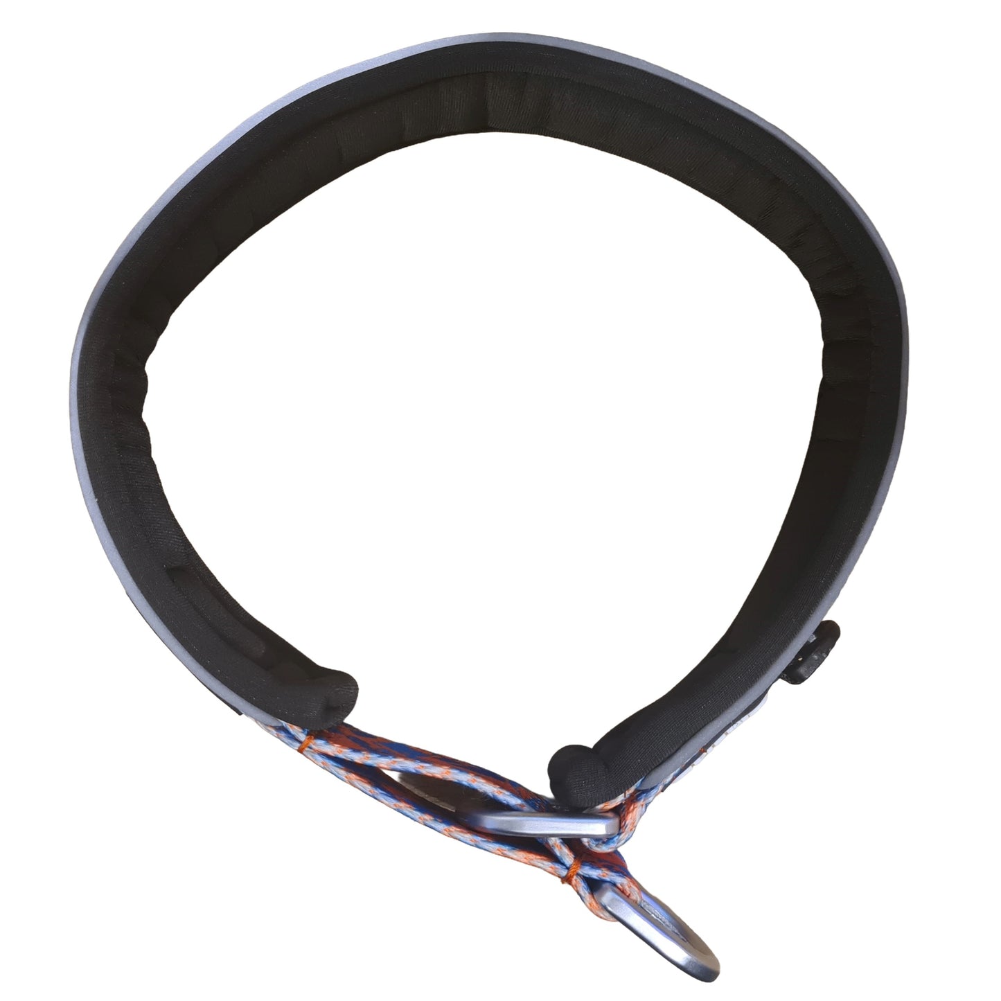 
                  
                    Reflective Padded Slip Dog Collar
                  
                
