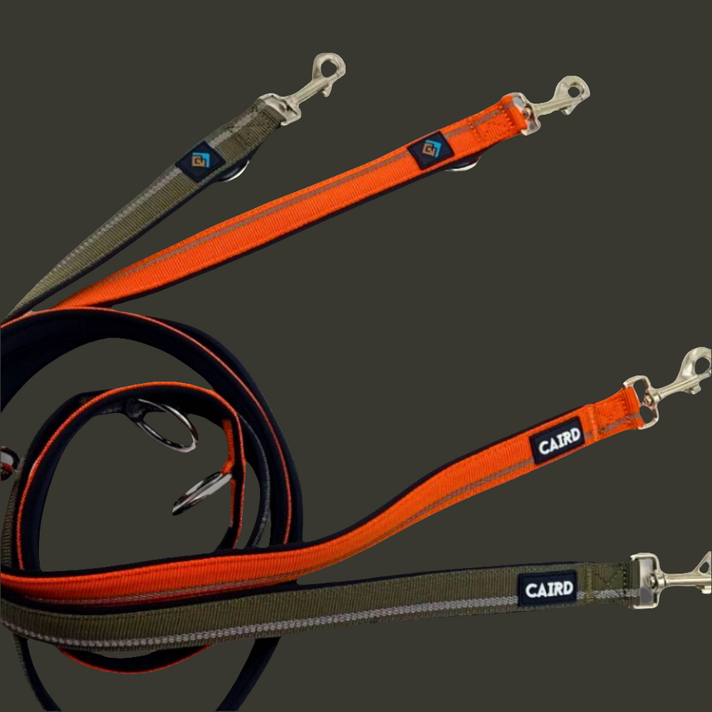 
                  
                    Training Lead - Double Ended - Khaki & Orange
                  
                