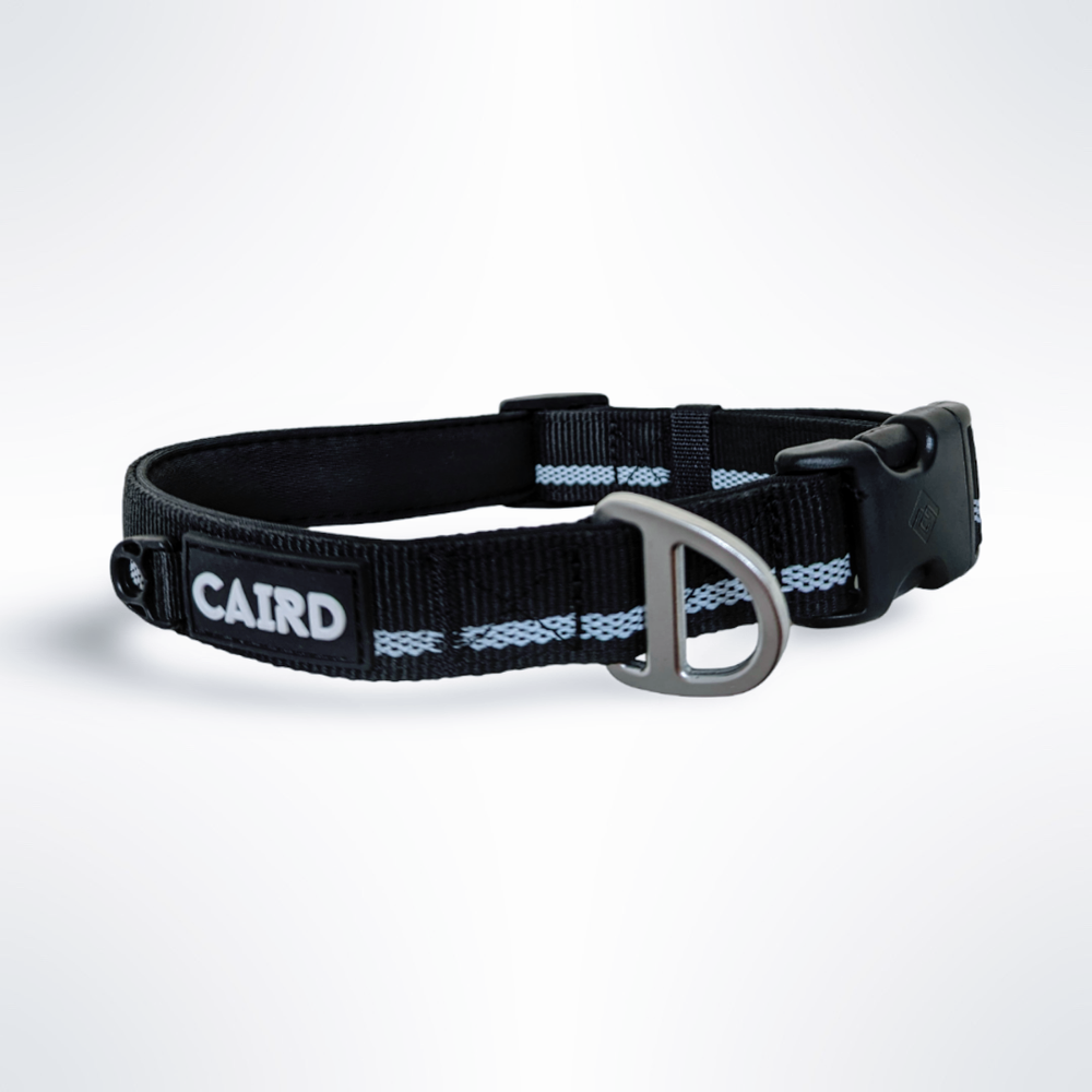 Journey Light Adjustable Collar